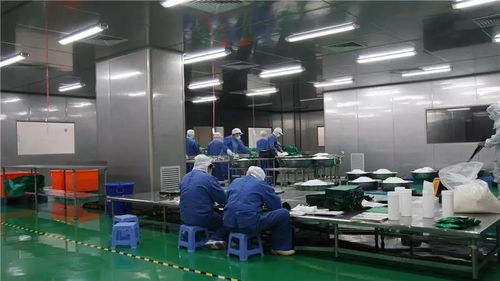 食品工廠自動化的設(shè)計與自動化設(shè)備安裝全流程解析